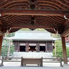 投稿日:2023年12月8日 写真