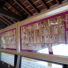 投稿日:2016年8月5日 写真