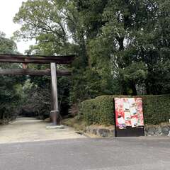 投稿日:2025年3月2日 写真