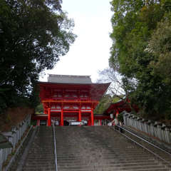 投稿日:2020年1月18日 写真