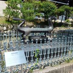 投稿日:2016年8月5日 写真