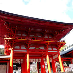 投稿日:2025年2月11日 写真