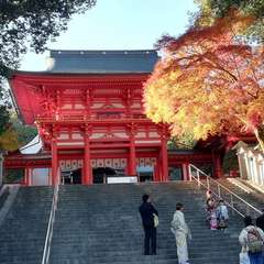 投稿日:2023年12月8日 写真