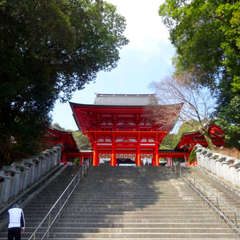 投稿日:2024年3月16日 写真