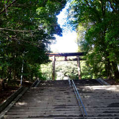 投稿日:2025年2月11日 写真