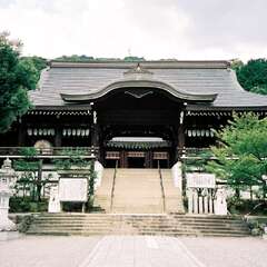 投稿日:2025年8月15日 写真