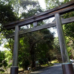 投稿日:2024年3月16日 写真