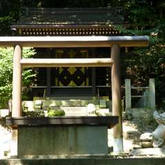 投稿日:2016年8月5日 写真