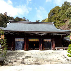 投稿日:2025年2月11日 写真