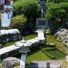 投稿日:2016年8月5日 写真