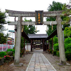 写真