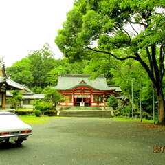 投稿日:2025年7月17日 写真