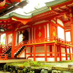 投稿日:2025年7月17日 写真