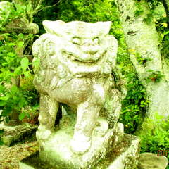 投稿日:2025年7月17日 写真