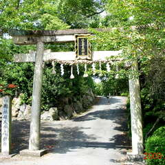 投稿日:2025年8月8日 写真