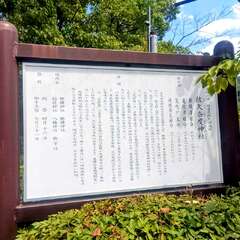 投稿日:2025年8月9日 写真