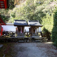 投稿日:2021年2月6日 写真