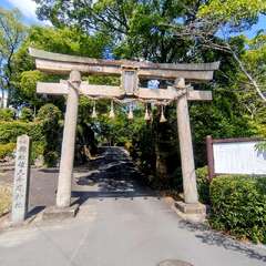 投稿日:2025年8月9日 写真