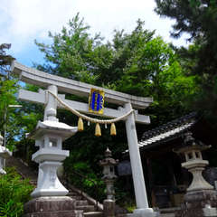 写真