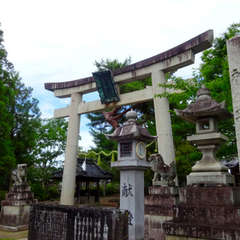 写真