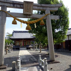 写真