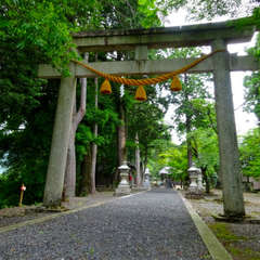 写真