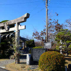 写真