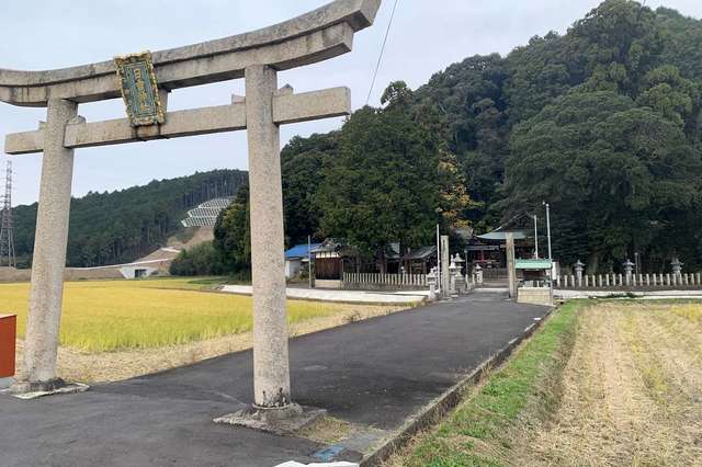 写真