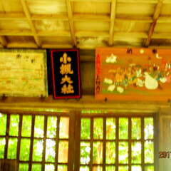 小槻大社(投稿日:2025年7月17日) 写真