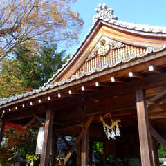 栗東御園~野洲(投稿日:2023年11月19日) 写真