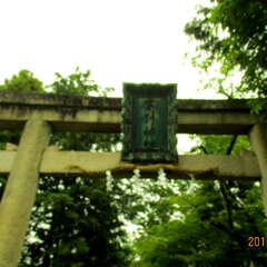 高野神社(投稿日:2025年7月17日) 写真