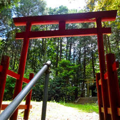 写真