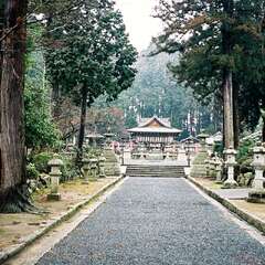 新宮神社(投稿日:2025年10月16日) 写真