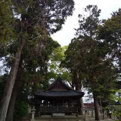 写真