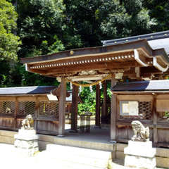 投稿日:2024年7月7日 写真