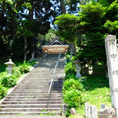 投稿日:2024年7月7日 写真