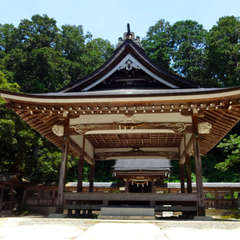 投稿日:2024年7月7日 写真