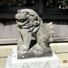 投稿日:2025年7月19日 写真