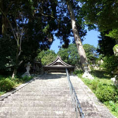 投稿日:2025年9月27日 写真
