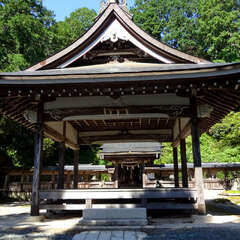 投稿日:2025年9月27日 写真