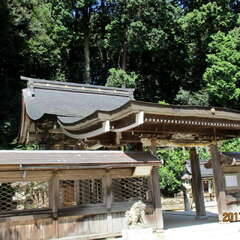 投稿日:2025年7月19日 写真