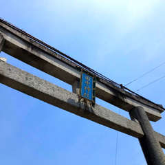 投稿日:2024年7月7日 写真