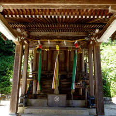 投稿日:2025年9月27日 写真