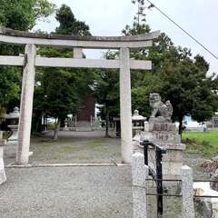 写真