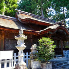 投稿日:2023年9月16日 写真