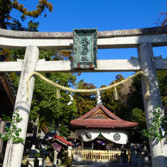 投稿日:2024年1月2日 写真