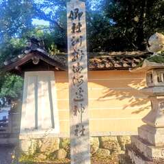 投稿日:2025年8月3日 写真