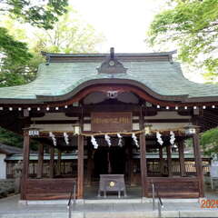 投稿日:2025年6月17日 写真