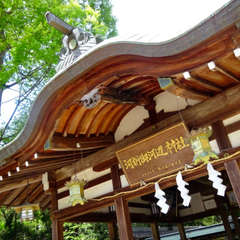 投稿日:2023年4月16日 写真