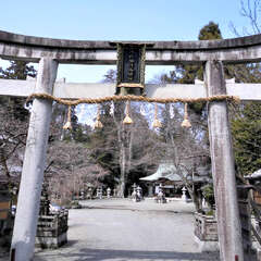 投稿日:2025年7月27日 写真